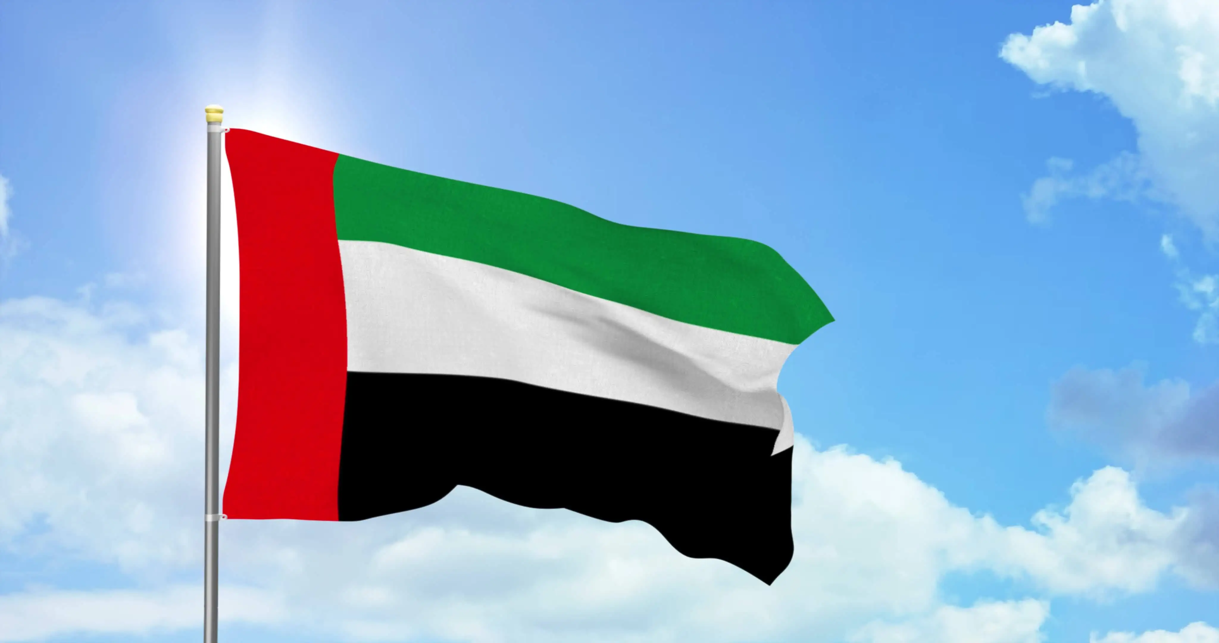 (TIKI FLAG) United Arab Emirates  Flag 90x150cm polyester UAE National Flag hanging banner for home decoration