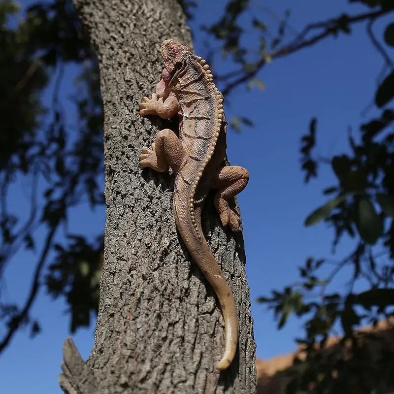 Modelo De Animales Salvajes, Exquisita Figura De Lagarto Realista Juguete Decorativo De Alta Simulacion Para 3 Anos Para El Hogar Anggrek Otros