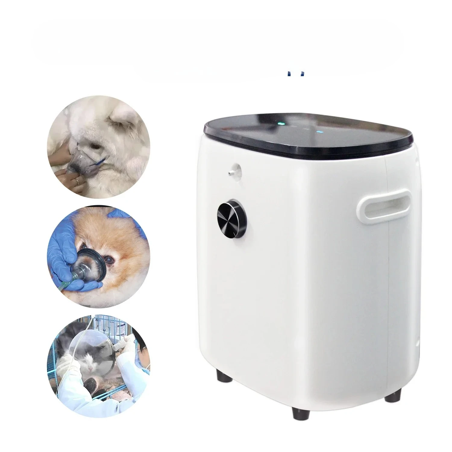 1L Pet Medical Oxyg…