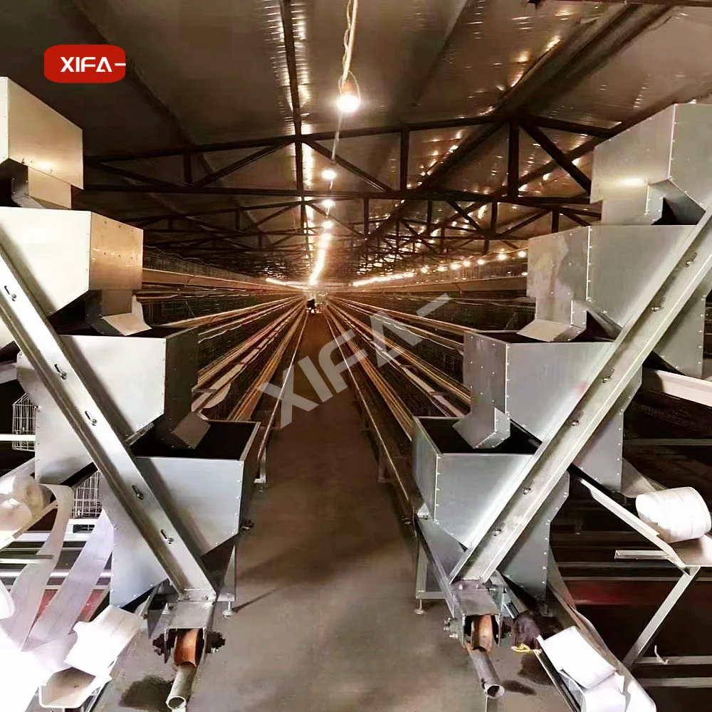A Type Automatic 3 Tiers Layer Cage For Africa Market