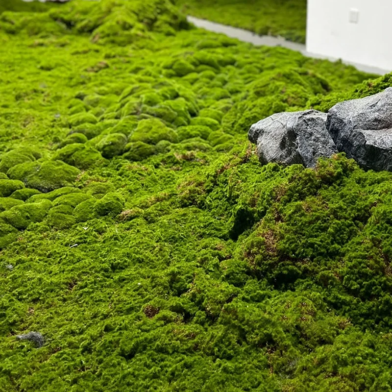 Bonsai Garden Landscape Design - Искусственный мох, декоративная трава для бонсай,