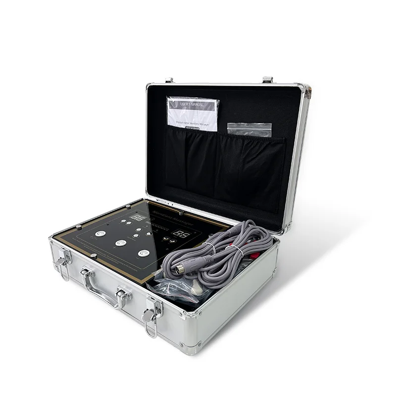 

Family-Use Multi-Functional DDS Bio Electric Massager For Body Ultrasound Pulse Physiotherapy Equipment For Muscle Pain Relief