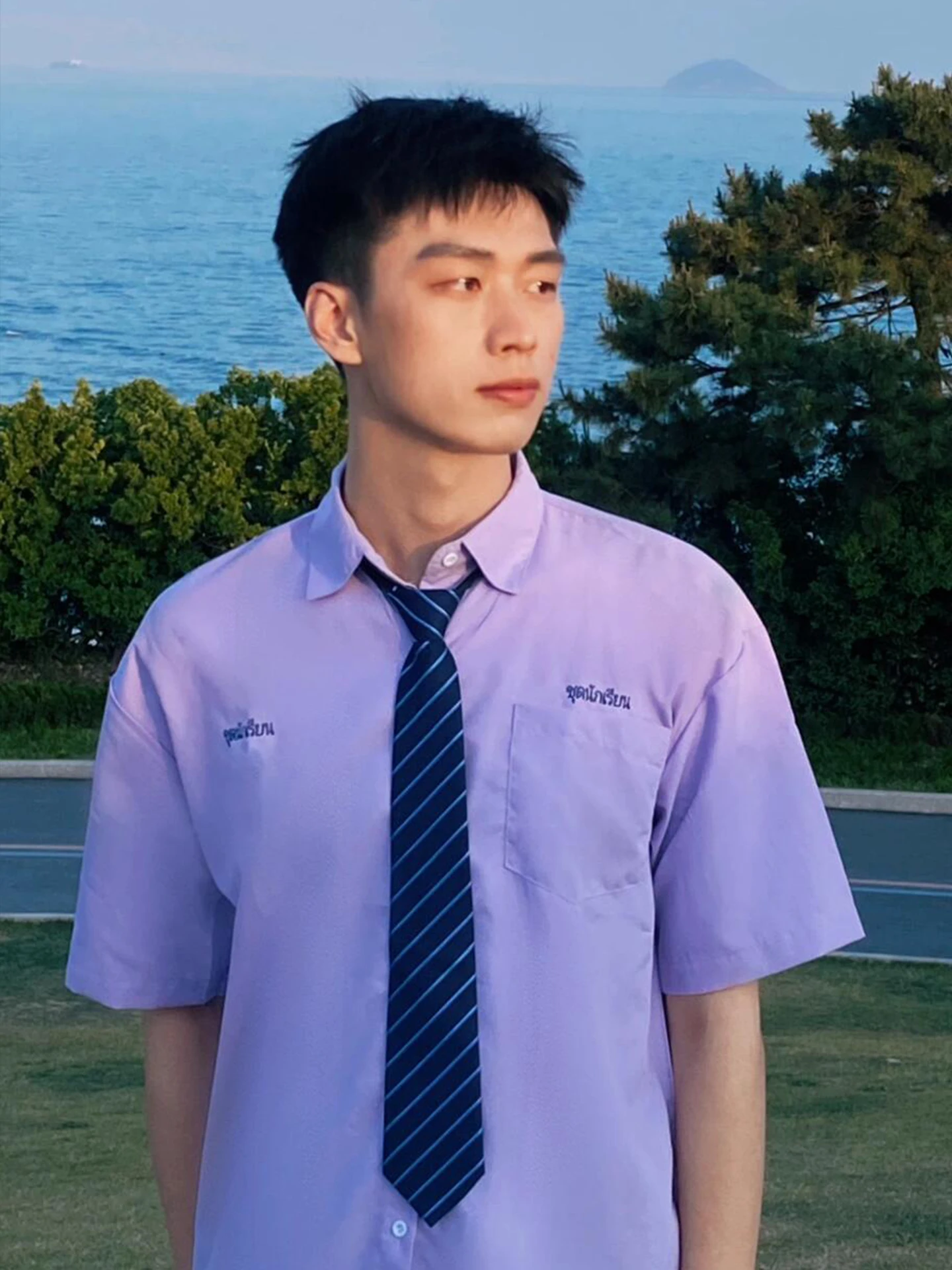 Casual Breathable Short Sleeve Shirt College Style Purple Men's Summer Versatile Button up Cotton Polyester Blend Standard Fit