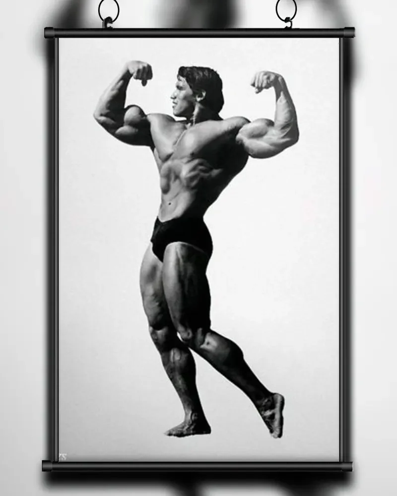 A28 ARNOLD SCHWARZENEGGER Bodybuilding Motivational Gigantic Strong Wall Sticker Silk Poster Art Home Decoration Christmas gift