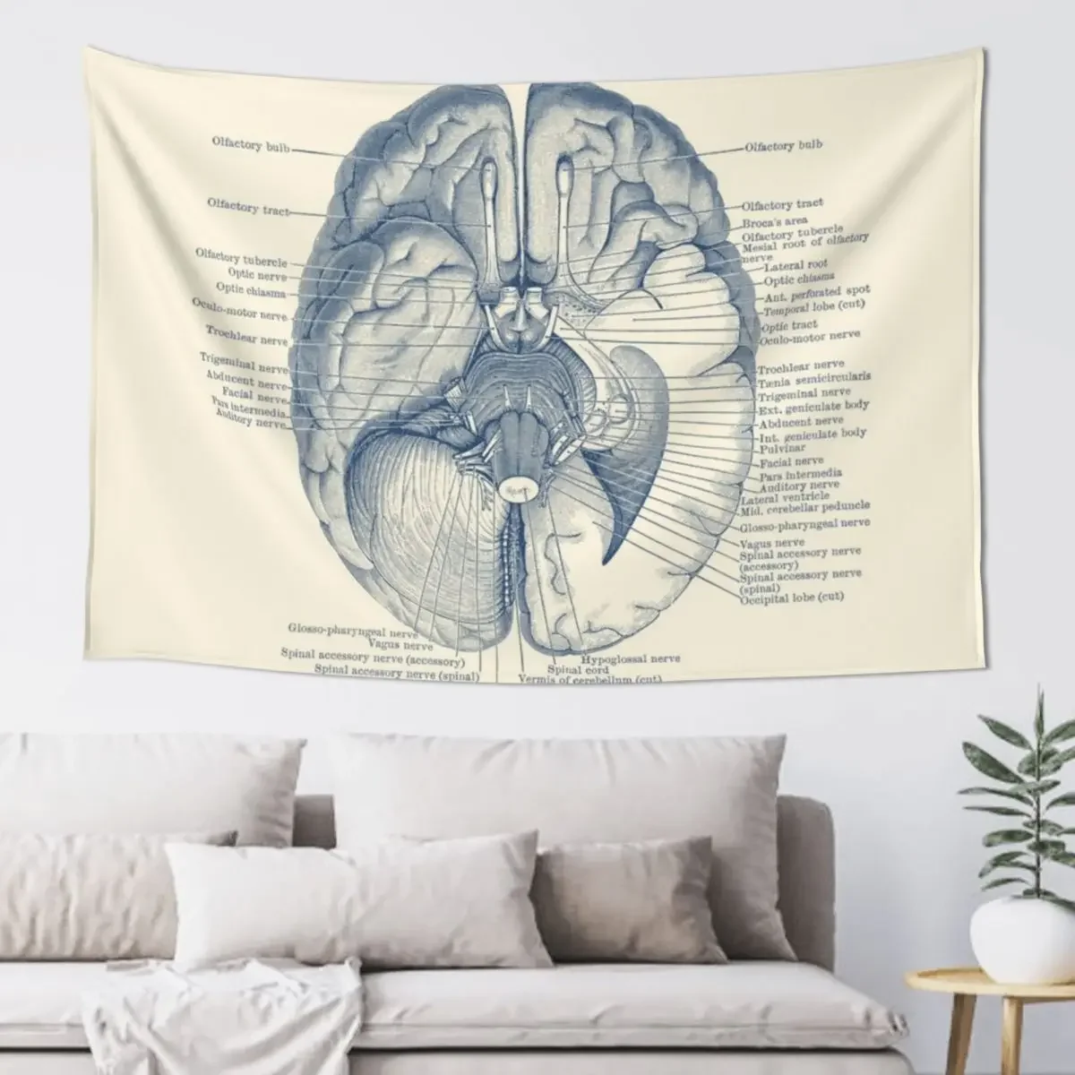 Brain Nervous System Diagram Tapestry Room Decor Cute Wall Mural Tapestry