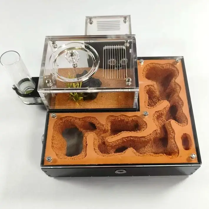 

Замок муравьиного гнезда, одиночная водяная башня, репродукция муравьев для домашних животных, экологическая мастерская, гнездо муравья, школа, популярная наука