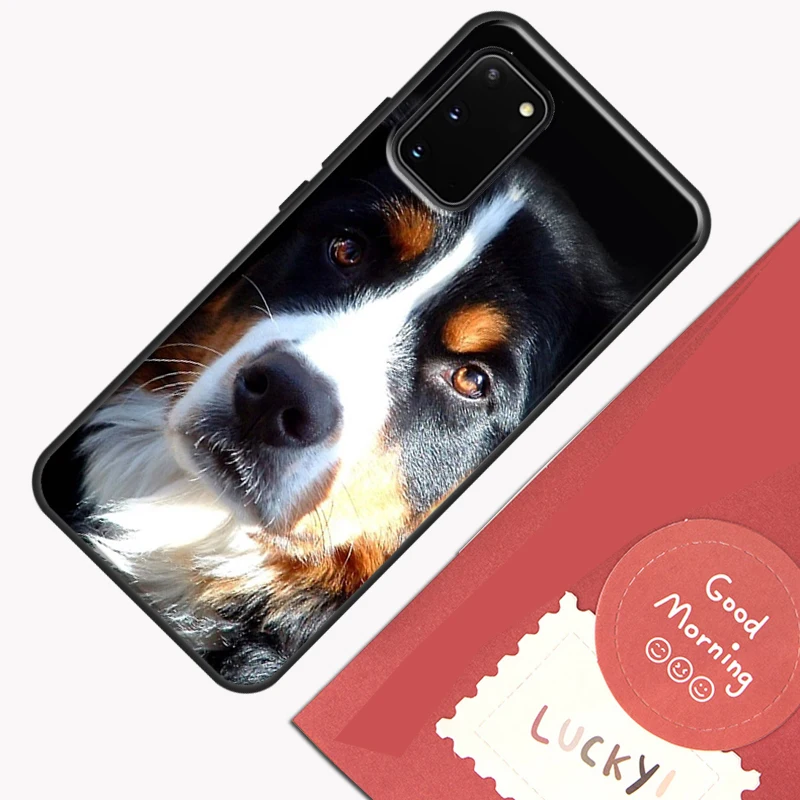 Funny Bernese Mountain Dog Phone Case For Samsung Galaxy S23 S26 Ultra S20 S21 S22 S24 S25 Plus S10 S25 FE Cover Shell - view 3