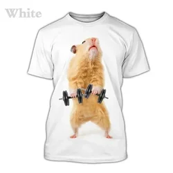 3D Print Animal Cute Hamster T Shirt For Men Casual Short Sleeve Funny Tee Tops Streetwear Kids Boy Girls Plus Size Tshirts