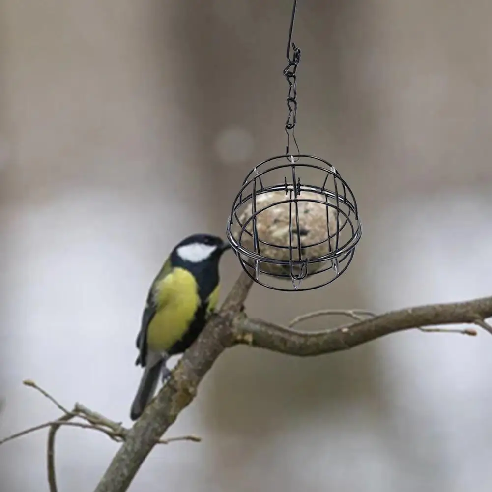 Suet Ball Feeder Bird Suet Balls Holder For Bird Feeding Metal Bird Feeder Fat Ball Bird Feeders Energy Suet Ball X5A4