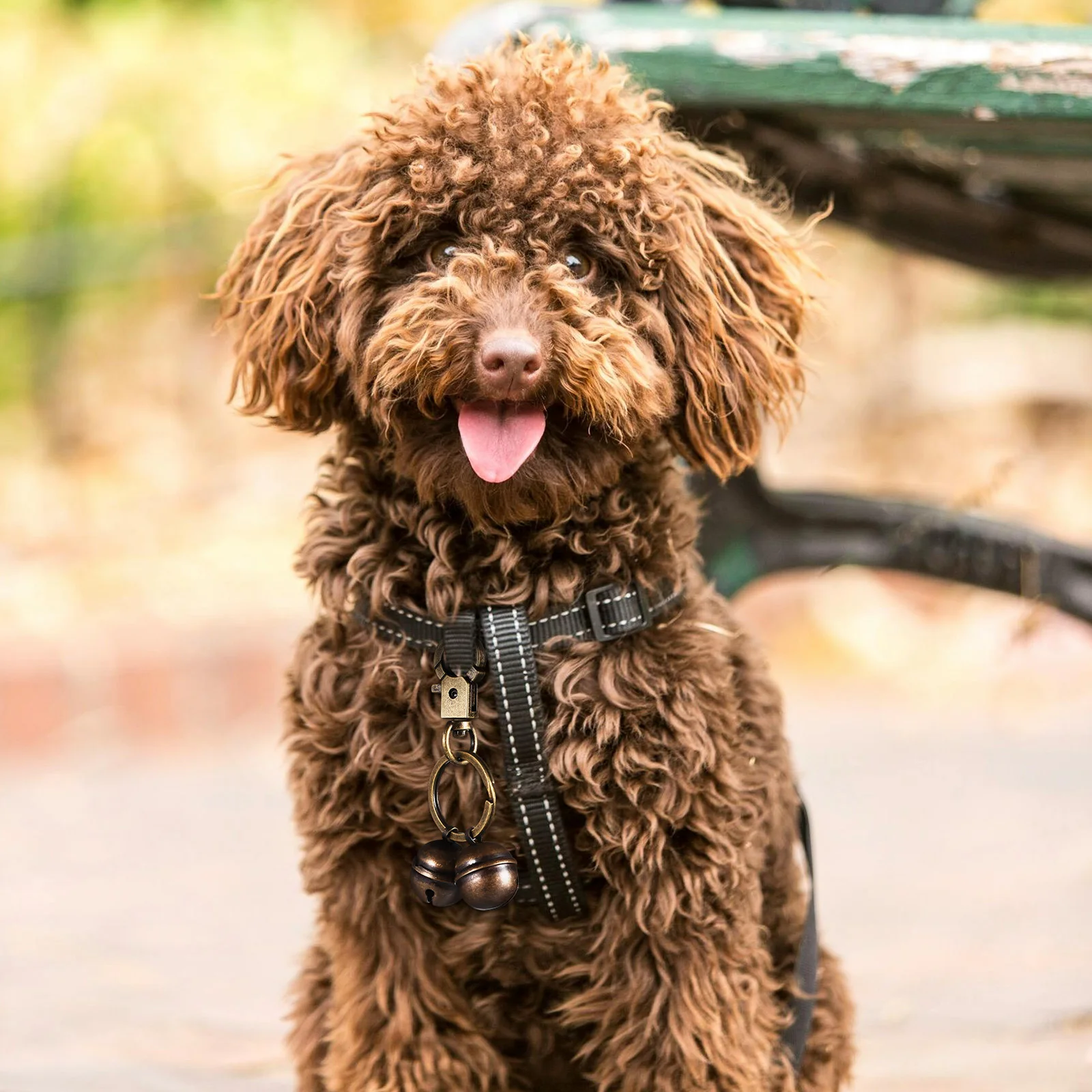 

Dog Collar Bell Brass Finish Loud Clear Sound Spring Snap Hook Pet Tracking Accessory Decorative Key Chain Pendant Collar Charm