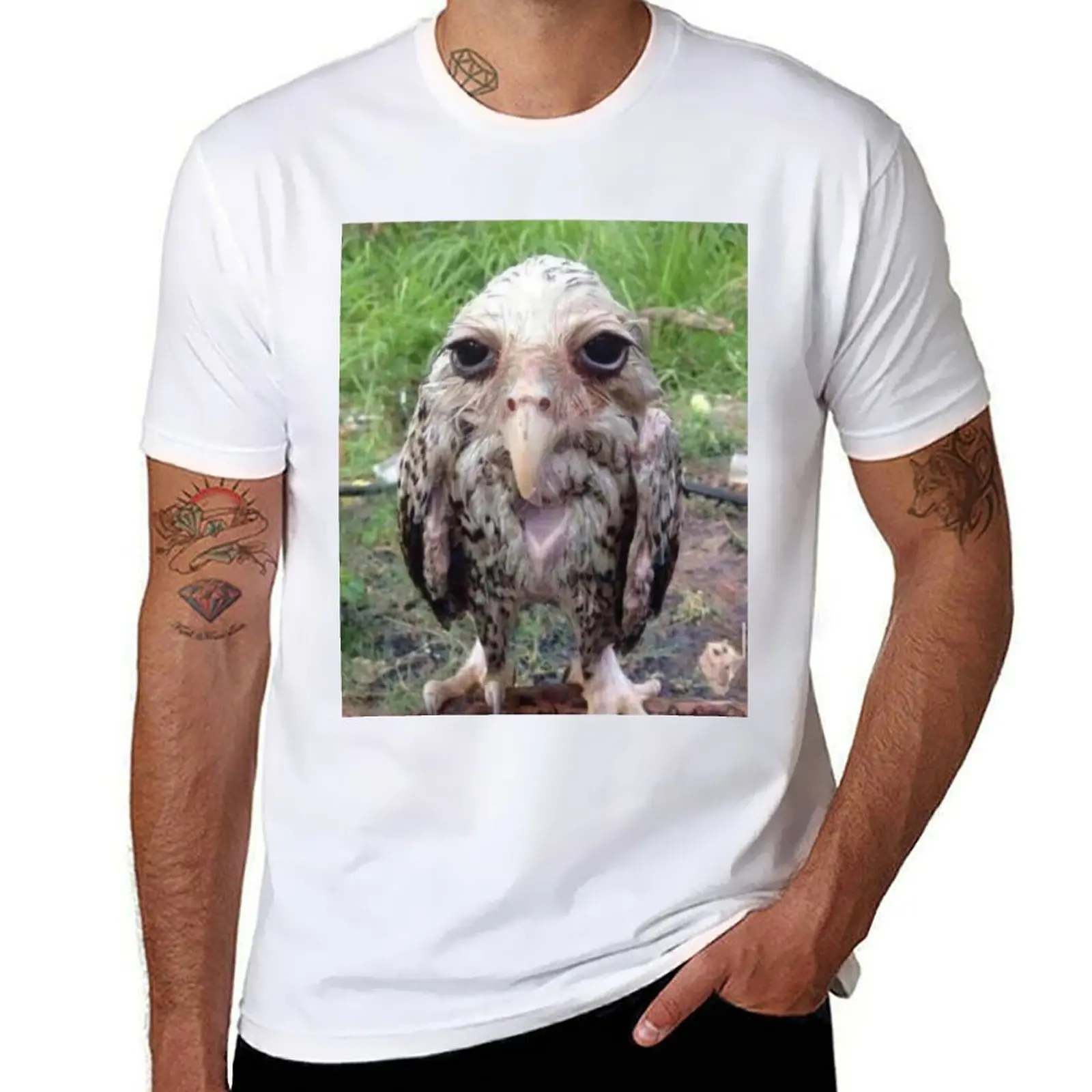 

Wet Owl Meme Essential T-Shirt anime t shirts for man t shirts designer T-Shirt