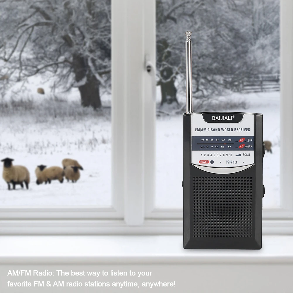 Portable Radio Dual…