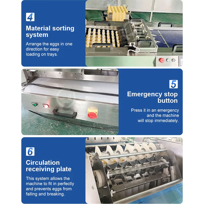 آلة تحميل صينية البيض آلة تعبئة بيض الدواجن آلة تعبئة بيض الدجاج الصغيرة للصينية #5