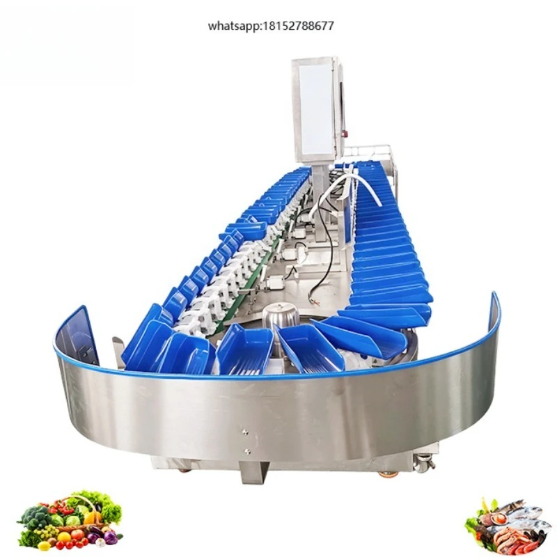Automatic High Precision Weight Sorting Machine Multi Grade Weight Grader for Food Seafood Fruit Vegetable Grading