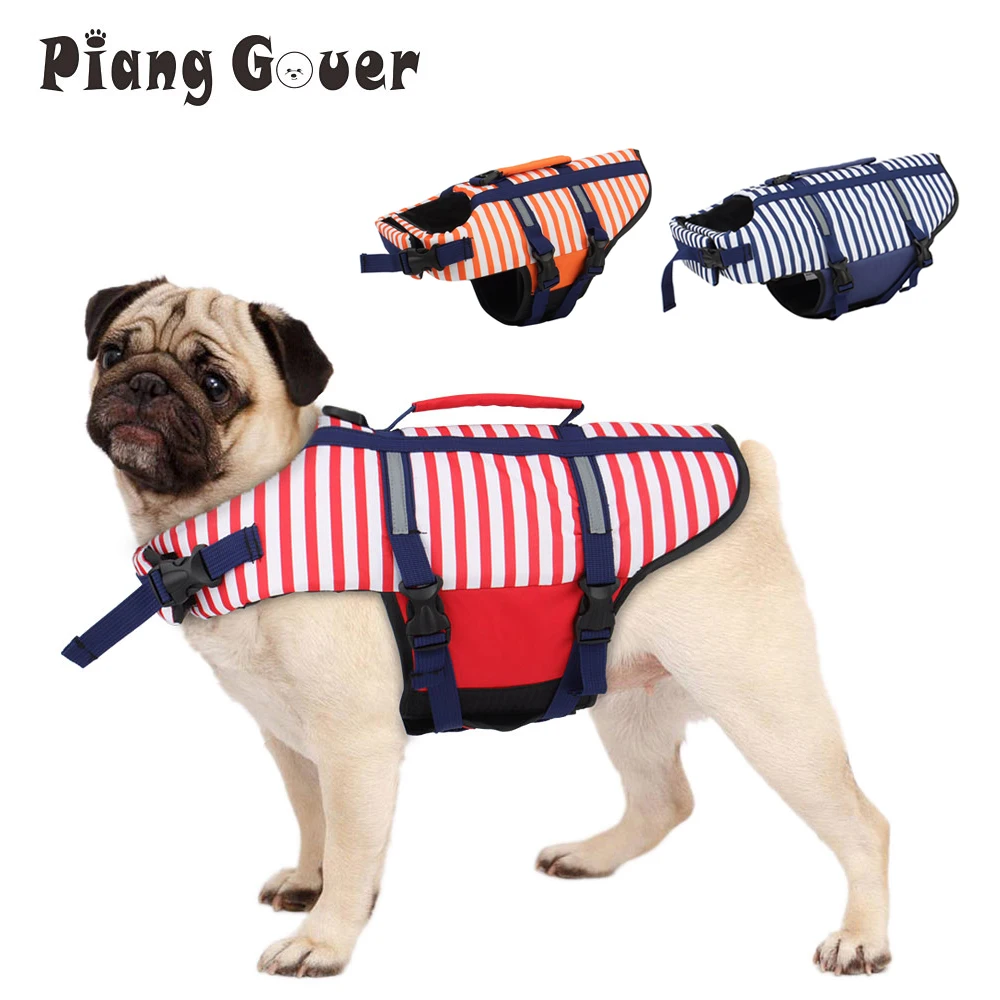 white french bulldog spots