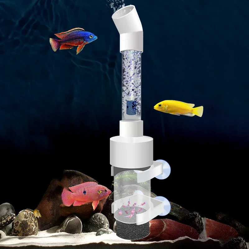 50mm Tumbler Incubator Fish Ha - đánh giá và giá Aquarium Fish Cichlid