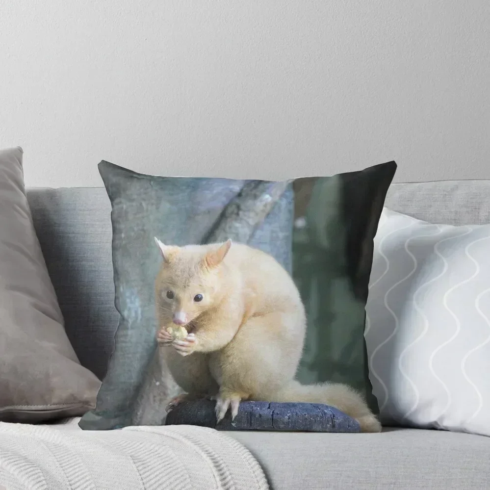 

Golden Brushtail Possum Throw Pillow Sofa Covers For Living Room Christmas Pillow Cases anime girl Cushions Cover pillow