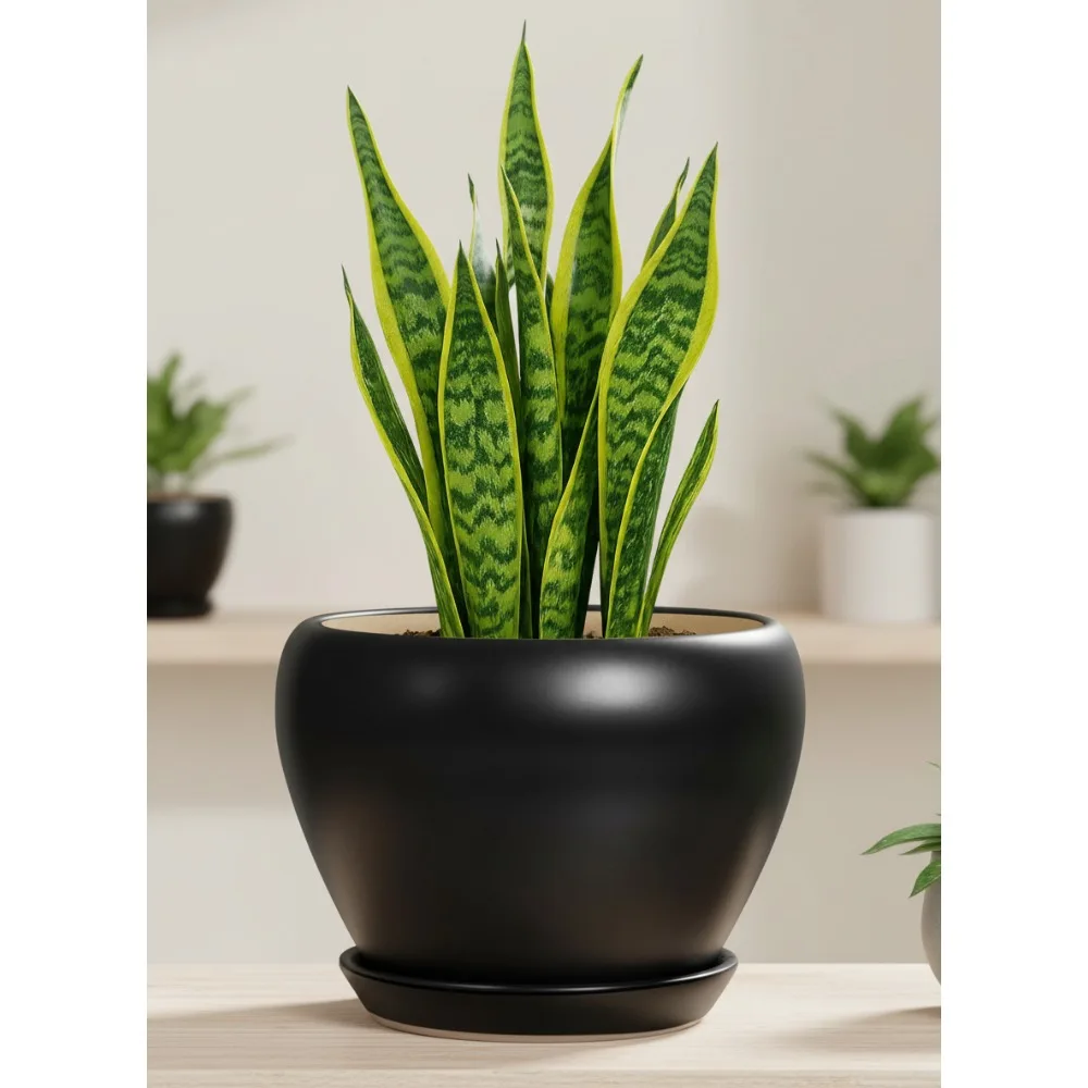 

8-дюймовый керамический горшок для растений с дренажным отверстием и подносом, современный круглый цветочный горшок для внутреннего и наружного декора сада