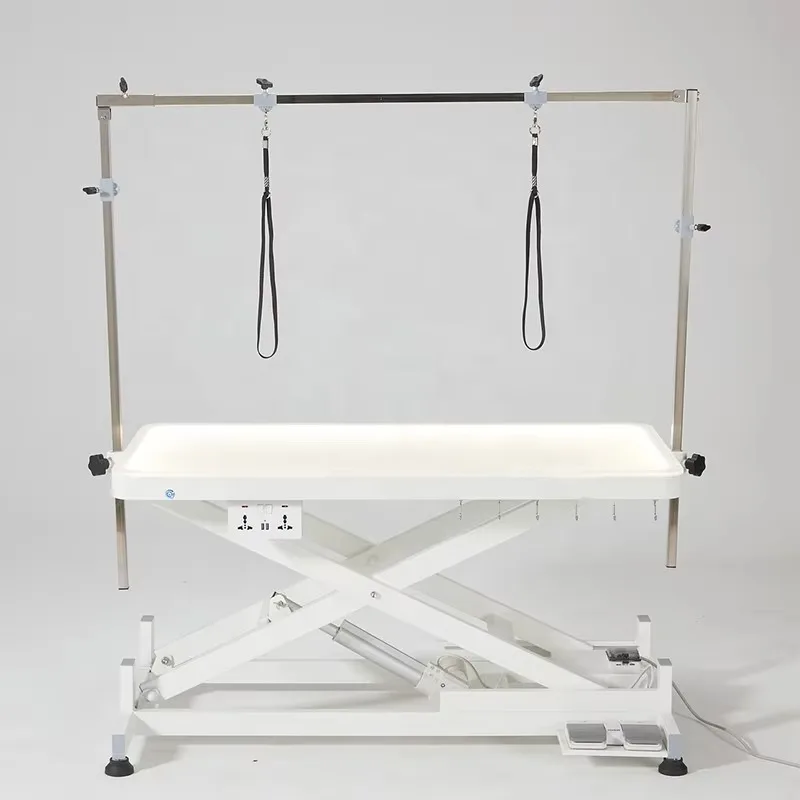 

LED Pet Grooming Table, Electric Lift for Large Dogs Salon