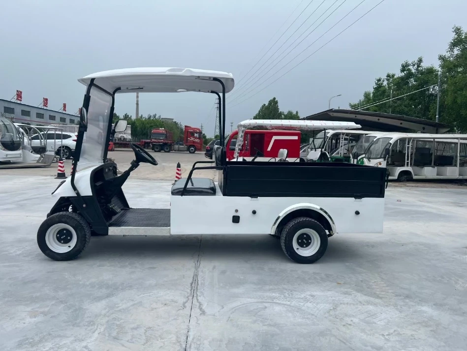 شاحنة عربة جولف كهربائية بمقعدين مع دلاء شحن 48 فولت 60 فولت 5 كيلو وات محرك فولاذي متوافق مع سيارة النادي