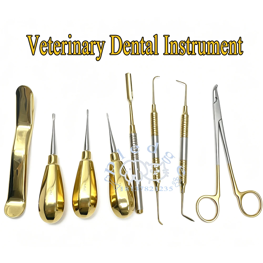 Veterinärmedizinisches Zahninstrumenten-Set, Zahnextraktions-Kit für Haustiere, Zahnheber, Zahnsonden, Zangen, Mundöffner für Hunde, Katzen und andere Tiere. – Detail 1