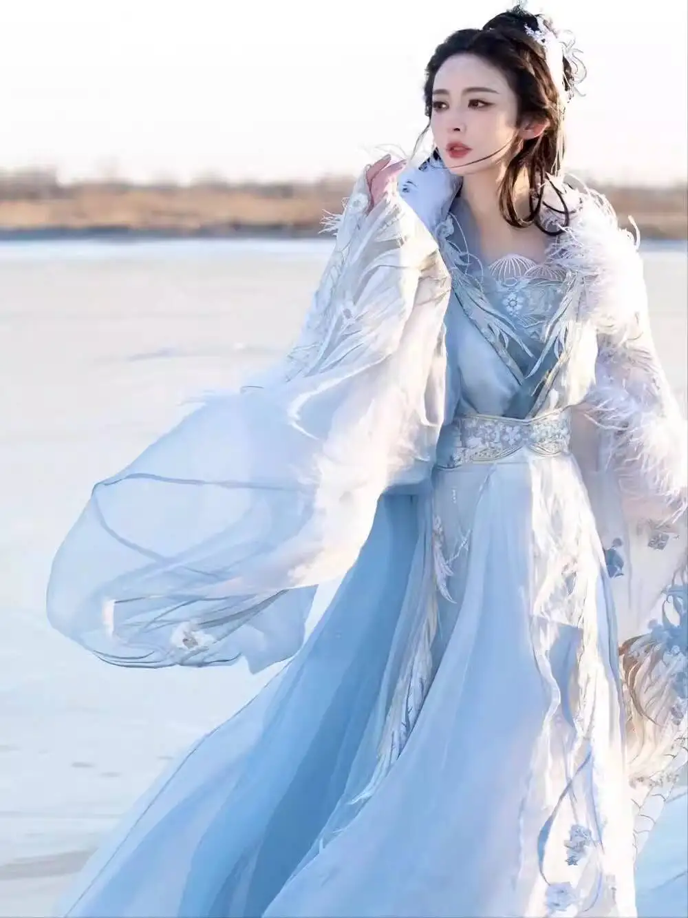 

Wei Jin Стиль Hanfu для женщин Moon Lotus Северные и Южные династии Большой карнавальный костюм длиной до талии Тяжелый