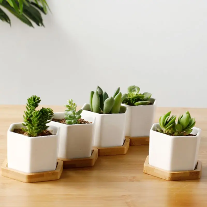 White Hexagon Flower Pot Succulent Planter Ceramic Flower Pots For Cactus With Drainage Hole And Bamboo Tray Garden Plant Pots