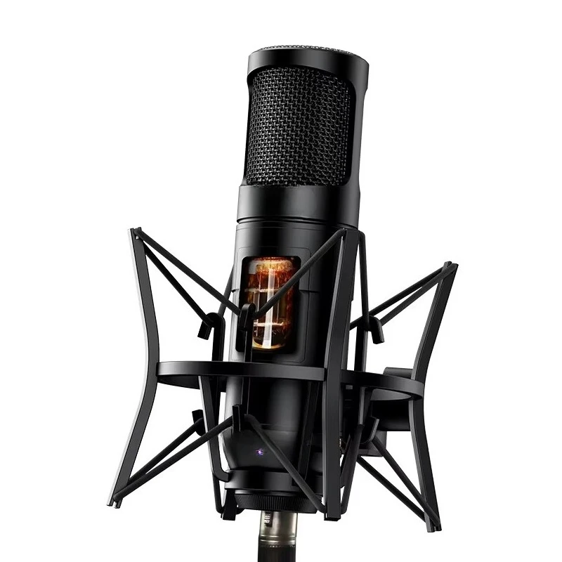 Professional Studio Condenser Microphone Set Multipattern Tube XLR Metal Plastic for Vocal Choir Recording