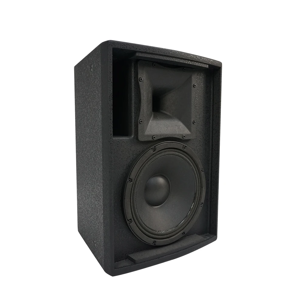Professional RMS 300W 10 Inch Portable pa Speaker System