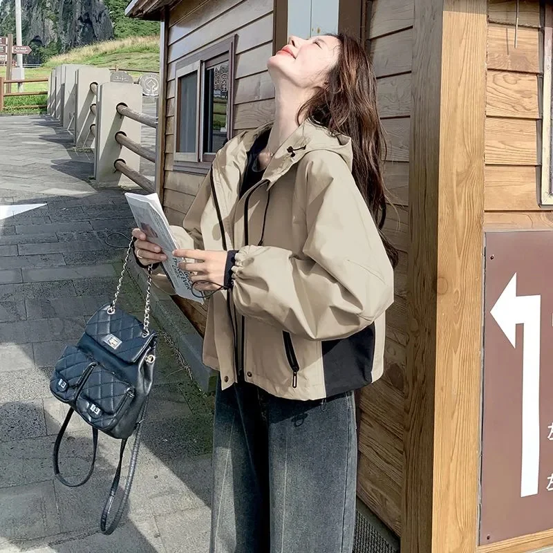 سترة نسائية قصيرة بغطاء للرأس محظورة الألوان لربيع 2025 فاخرة غير رسمية فضفاضة تناسب أنيقة صغيرة الحجم ودية