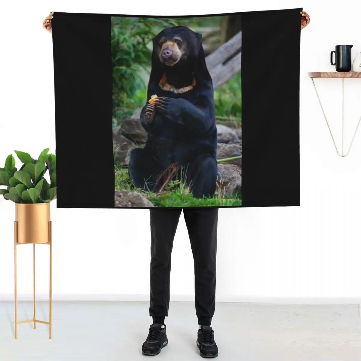 Malayan Sun Bear Contemplating Throw Blanket blankets and throws manga Warm Flannel Summer Beddings For Decorative Sofa Blankets