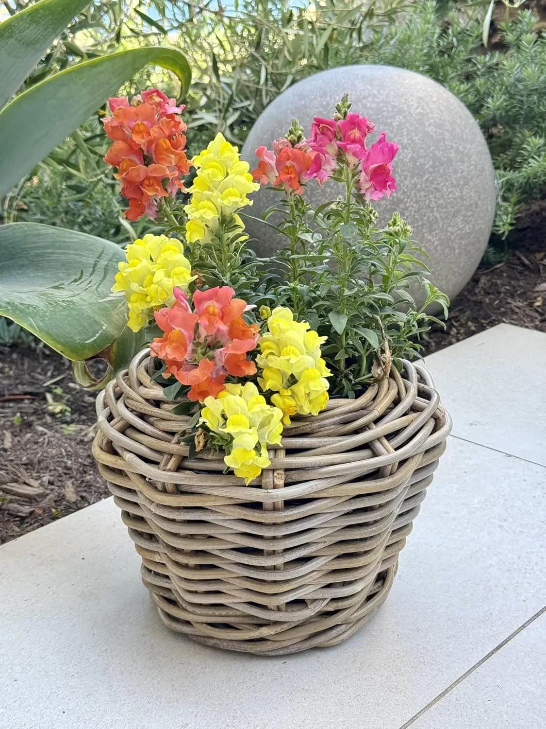 Rattan Planter Basket with Built-in Plastic Inner Pot, Drainage Holes, Indoor/Outdoor Use, 11.5