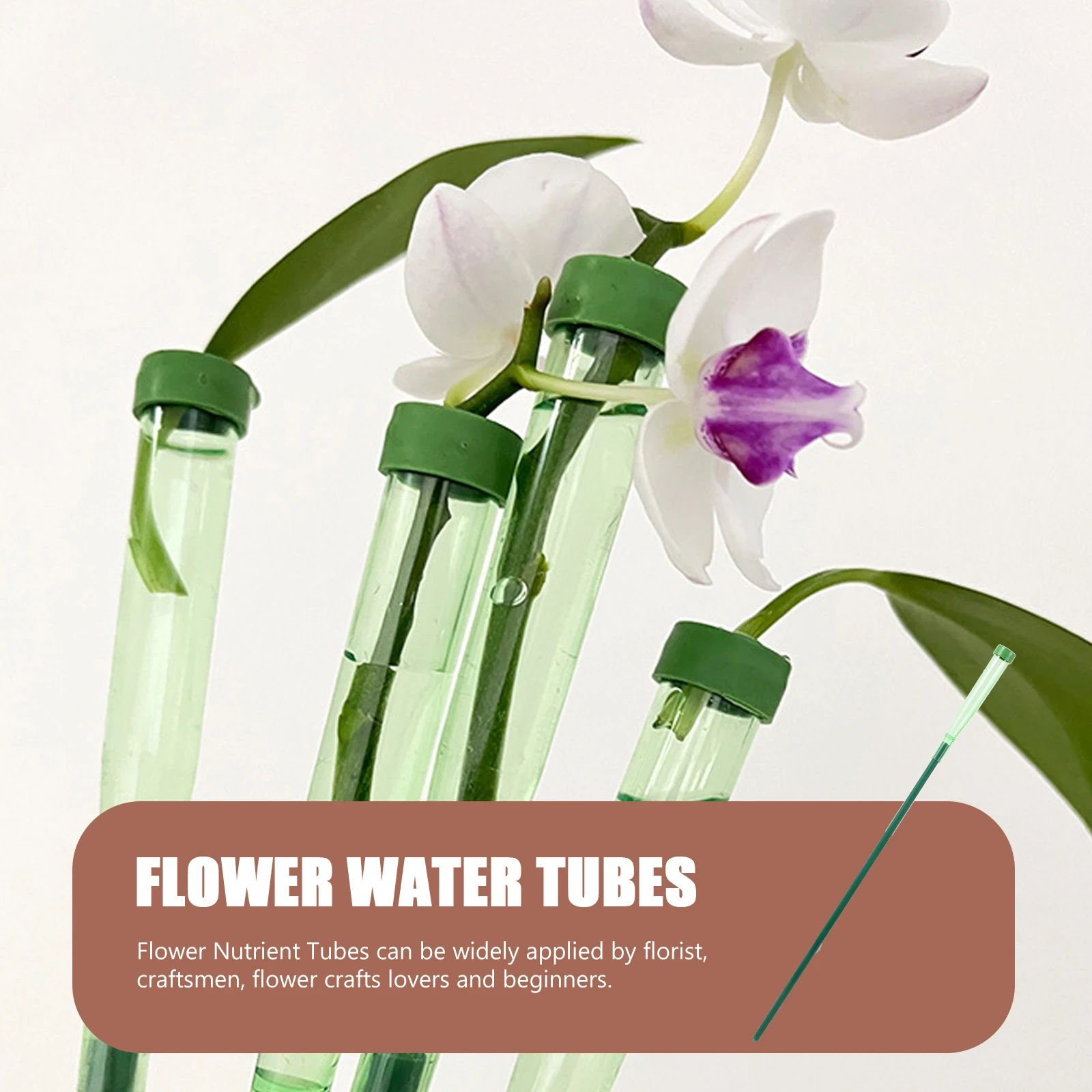 

5 Sets Flower Nutrition Tubes Storage Tubes Fresh Flowers Plastic Vials Gardening Pipes Rose Containers