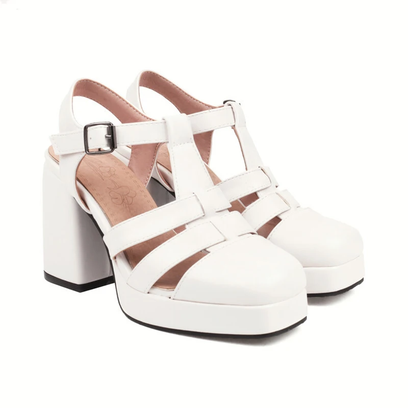 Square Toe Platform Sandals Women Summer Hollow Out Chunky Heel Shoes Women T-Strap 9CM High Heels Sandalias Mujer LWSH5652 view 5