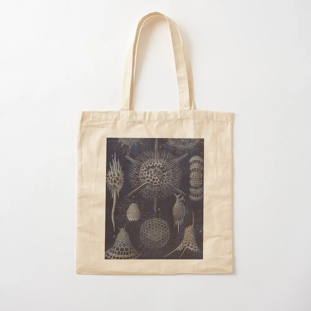 

Vintage Radiolaria Fossils Tote Bag personalized tote ecological bags cloth bag woman Handbags women
