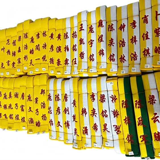 cinto-de-taekwondo-karate-e-judo-personalizavel-com-bordado-de-nivel-cinto-de-progressao-para-artes-marciais-e-equipamento-de-treinamento-fisico