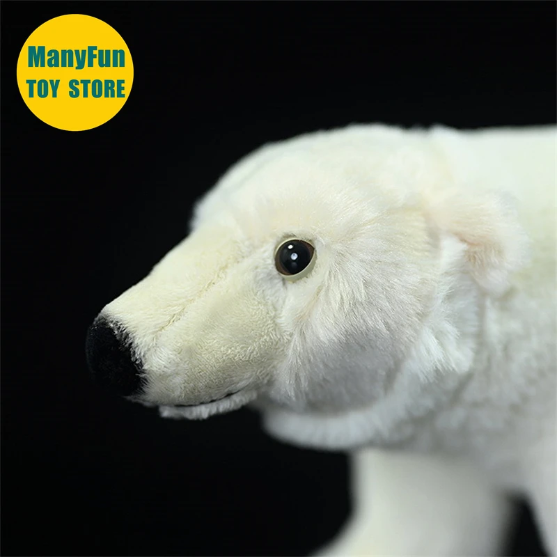 Realistic Polar Bear High Fidelity Ice Bear Plushie White Bear Plush Toys Lifelike Animals Simulation Stuffed Doll Kawai Toy Kid