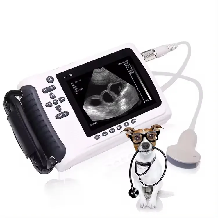 Amain Good Quality pet dog pig sheep pregnancy ultrasound scanner veterinary vet ultrasound portable machine animal ultrasound