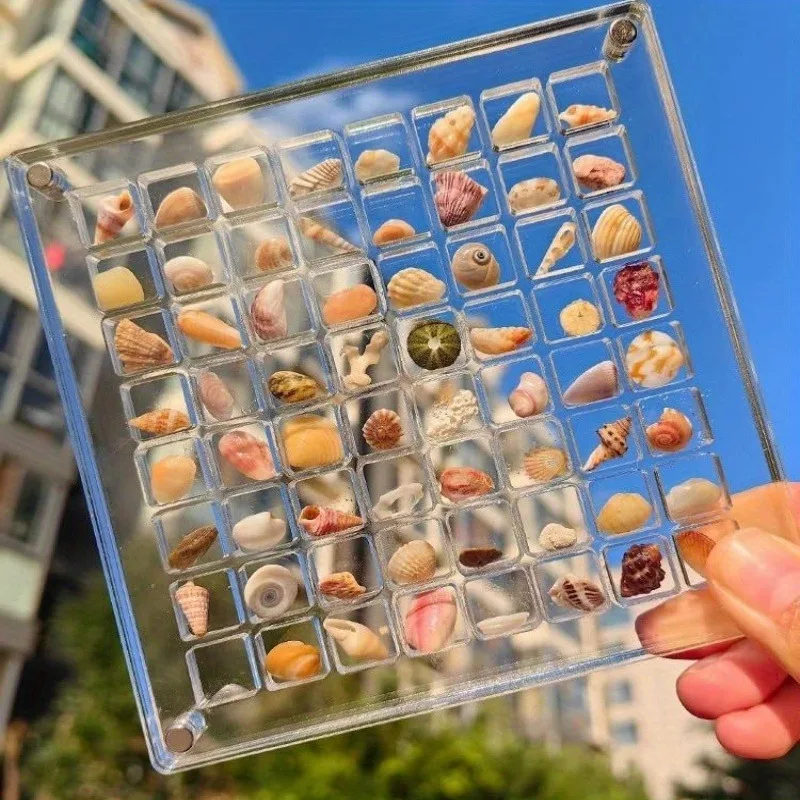 Acrylic Magnetic Seashell Display Box, Transparent 32/64 Grids Collection Case, Portable Travel Size Organizer