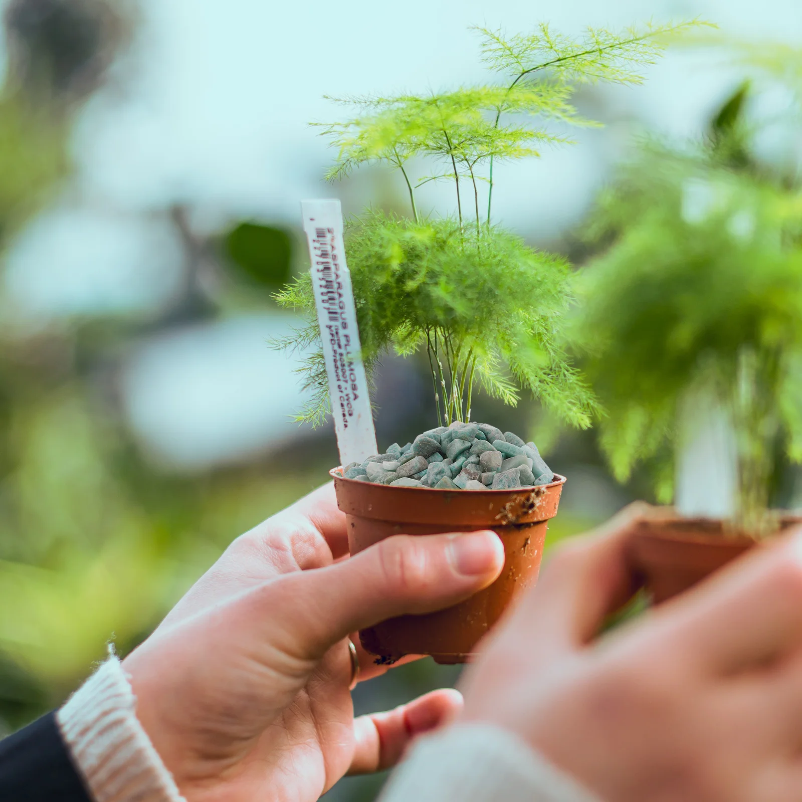 

1 Bag Broken Crystal Stones Natural Fish Tank Ornament Aquarium Decoration Crystal Stones Craft Garden Landscape Decor