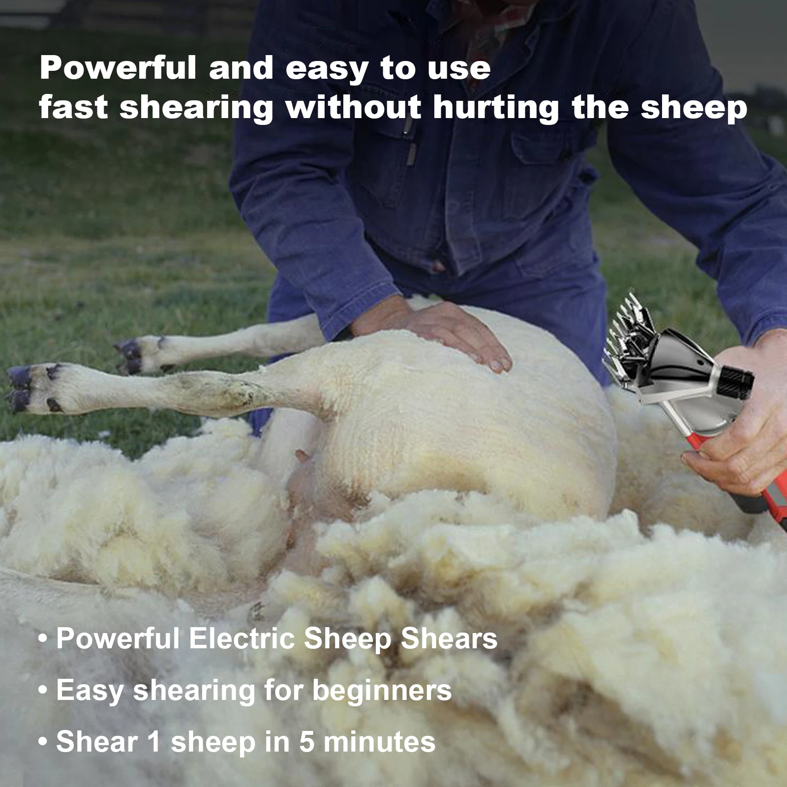 900W Electric Wool Shears 6 Adjustable Speeds Goat Sheep Hair Scissor Wool Cut Shearing Machine Pet Clipper Supplies