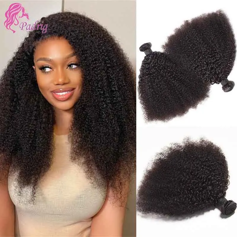 2/3PC Afro crépus bouclés cheveux humains paquets 100g mongol crépus bouclés cheveux Bundle Double trame Extension de cheveux Remy couleur naturelle