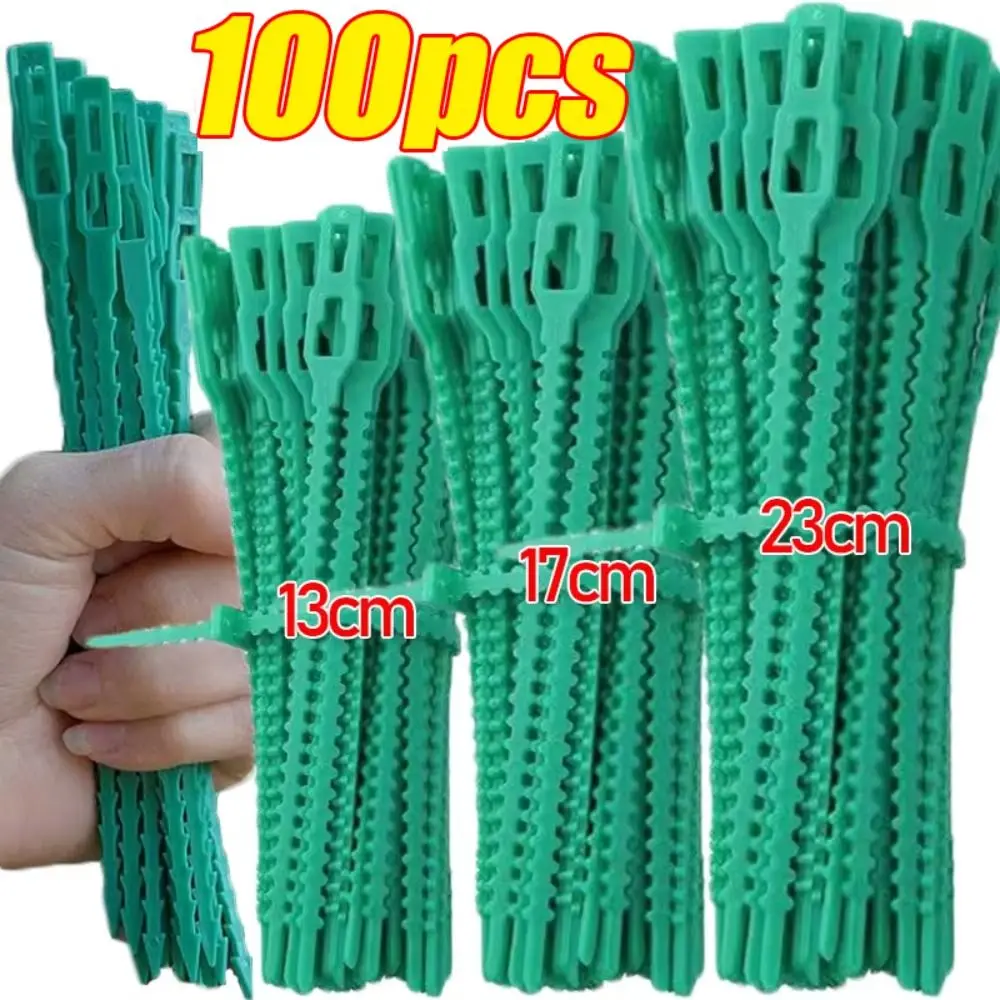 100Pcs 13/17/23cm Plant Cable Ties Reusable Adjustable Plant Stem Clip Nylon Garden Self-locking Cables Ties - view 3