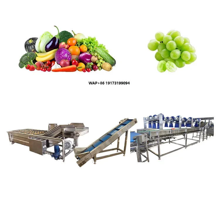 Máquina Industrial de Lavado de Frutas y Verduras con Burbujas para Línea de Procesamiento de Tomates y Fresas
