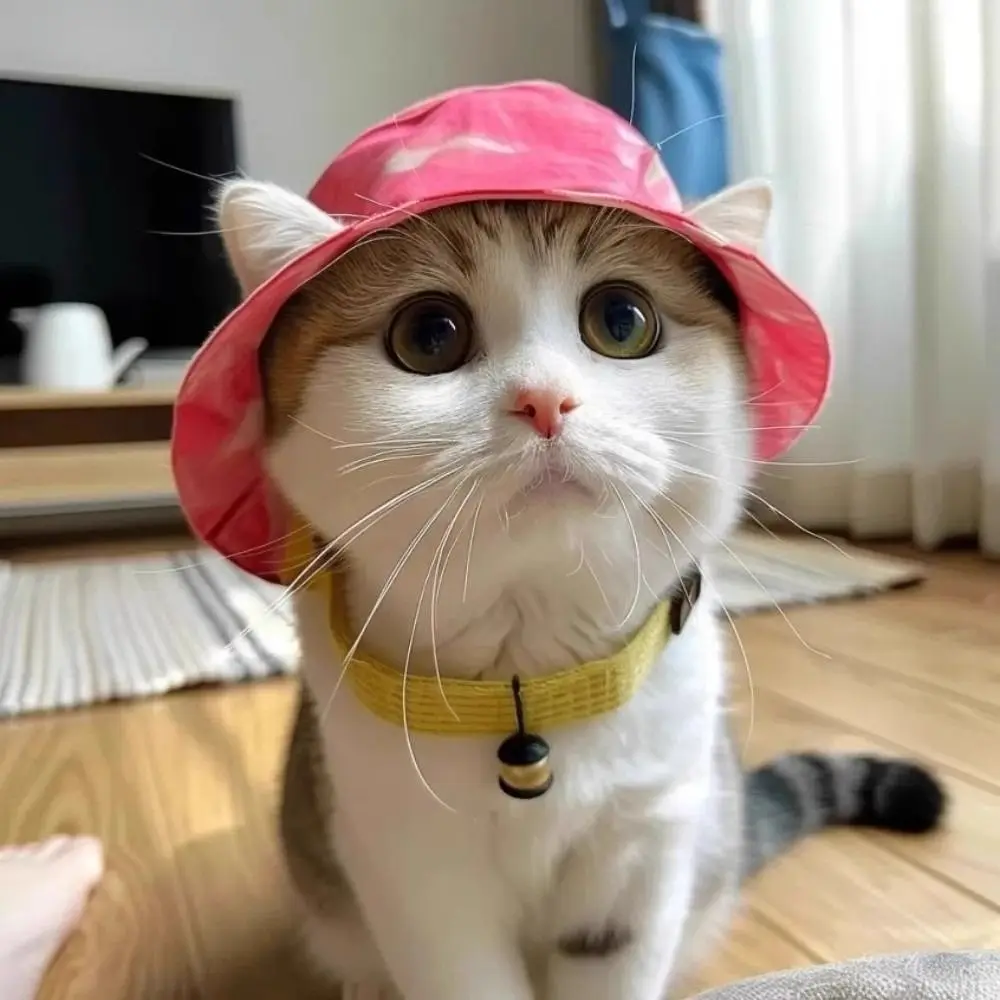 

Summer Sunhat Cotton Cat Sun Hat S/M/L with Ear Holes Pet Caps Outdoor Sun Protection Round Brim Dog Fisherman Hat Travel