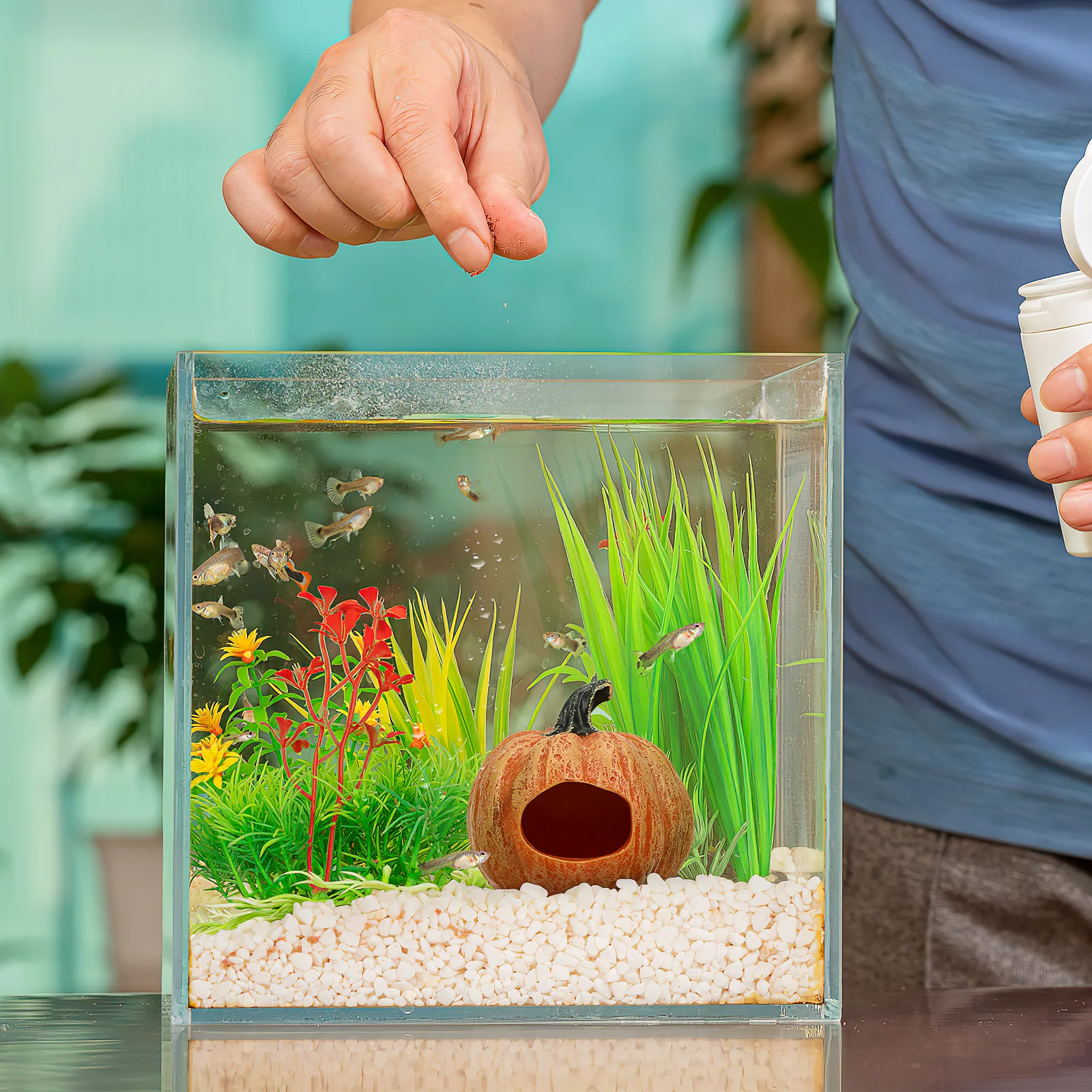 

Fish Tank Resin Pumpkin Aquarium Habitat Decoration Natural Shelter for Fish Shrimp Rest House Resin Habitat Pumpkin Decor