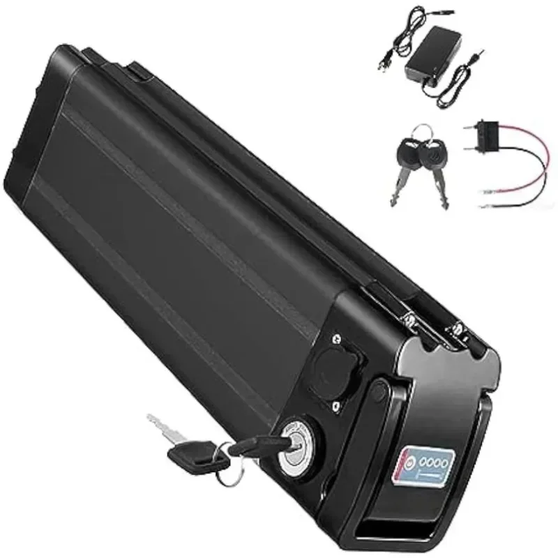 

48V 15Ah 20Ah 1000W 750W suitable for silver fish lithium-ion battery 36V lithium-ion battery pack with charger