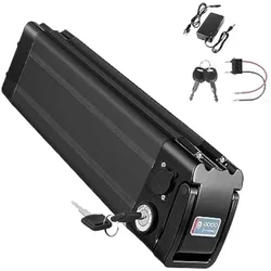 48V 15Ah 20Ah 1000W 750W suitable for silver fish lithium-ion battery 36V lithium-ion battery pack with charger