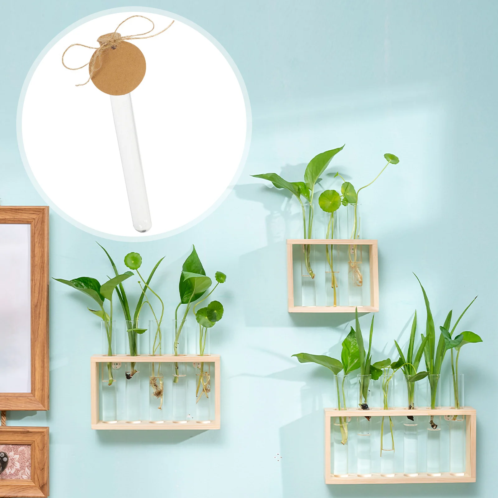 1 Satz transparente Reagenzgläser, kleine DIY-Versorgung, langlebig, sicher, glatte Oberfläche, leicht zu reinigen, transparenter Behälter, Geschenk-Reagenzgläser