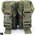 Dual magazine bag